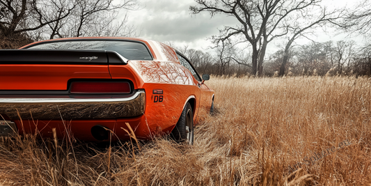 Americký muscle car na louce