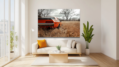 Americký muscle car na louce