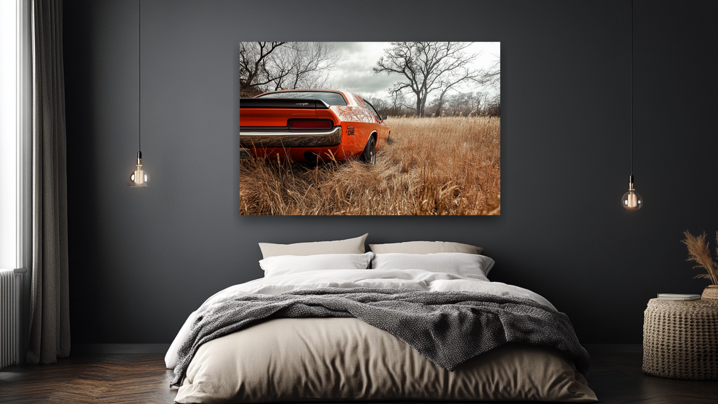 Americký muscle car na louce